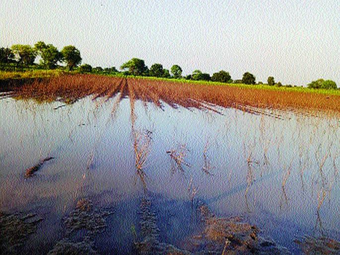 Is it a sin to be born in a farmer's house? | शेतकऱ्याच्या घरामध्ये जन्म घेणे हे पाप आहे का?