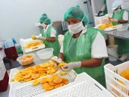 Movement to establish fruit processing and research center at Washim! | वाशिम येथे फळप्रक्रिया व संशोधन केंद्र स्थापन करण्याच्या हालचाली!