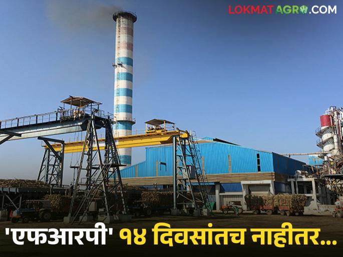 The decision to give FRP in pieces is wrong; If violated, we will take you to court | तुकड्या तुकड्याने एफआरपी देण्याचा निर्णय चुकीचा; उल्लंघन कराल तर कोर्टात खेचू The decision to give FRP in pieces is wrong; If violated, we will take you to court | तुकड्या तुकड्याने एफआरपी देण्याचा निर्णय चुकीचा; उल्लंघन कराल तर कोर्टात खेचू