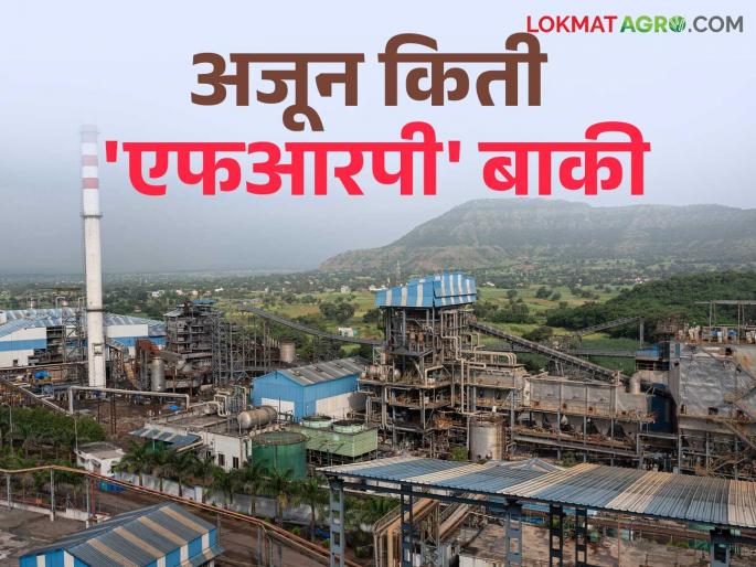 Sugarcane FRP 2024-25 : Rs 13,982 crore of Sugarcane 'FRP' deposited in farmers bank accounts | Sugarcane FRP 2024-25 : 'एफआरपी'चे १३ हजार ९८२ कोटी शेतकऱ्यांच्या बँक खात्यावर जमा Sugarcane FRP 2024-25 : Rs 13,982 crore of Sugarcane 'FRP' deposited in farmers bank accounts | Sugarcane FRP 2024-25 : 'एफआरपी'चे १३ हजार ९८२ कोटी शेतकऱ्यांच्या बँक खात्यावर जमा