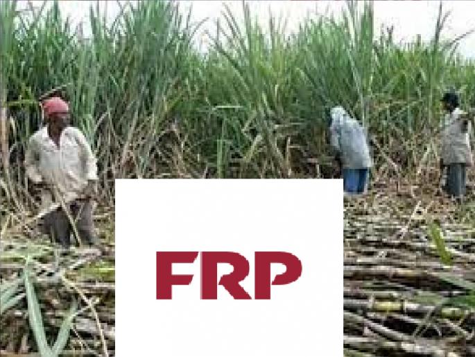 The first lifting of sugarcane will be given in two installments without getting a lump sum, State Government announces new policy | अखेर 'एफआरपी'चे तुकडे! राज्य शासनाचे नवे धोरण जाहीर; शेतकरी-कारखानदार संघर्ष अटळ The first lifting of sugarcane will be given in two installments without getting a lump sum, State Government announces new policy | अखेर 'एफआरपी'चे तुकडे! राज्य शासनाचे नवे धोरण जाहीर; शेतकरी-कारखानदार संघर्ष अटळ