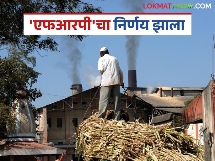 Finally, the decision on FRP has been taken; now farmers will get money based on the sugar yield of the same year | अखेर 'एफआरपी'चा निर्णय झाला; आता त्याच वर्षाचा साखर उतारा धरून शेतकऱ्यांना पेमेंट होणार