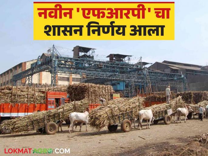Sugarcane FRP 2024-25 : Sugarcane Rate Payment Policy as FRP for Sugarcane Season 2024-2025 Read Details | Sugarcane FRP 2024-25 : गाळप हंगाम २०२४-२०२५ साठी एफआरपी प्रमाणे ऊस दर अदा करावयाचे धोरण वाचा सविस्तर Sugarcane FRP 2024-25 : Sugarcane Rate Payment Policy as FRP for Sugarcane Season 2024-2025 Read Details | Sugarcane FRP 2024-25 : गाळप हंगाम २०२४-२०२५ साठी एफआरपी प्रमाणे ऊस दर अदा करावयाचे धोरण वाचा सविस्तर