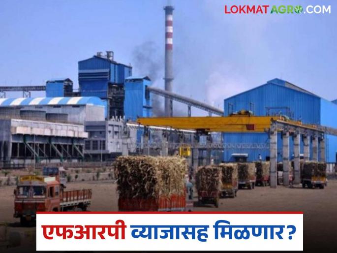 Sugarcane FRP 2024-25 : Sugarcane FRP dues will have to be paid with 15 percent interest | Sugarcane FRP 2024-25 : उसाची थकीत एफआरपी १५ टक्के व्याजासह द्यावी लागणार Sugarcane FRP 2024-25 : Sugarcane FRP dues will have to be paid with 15 percent interest | Sugarcane FRP 2024-25 : उसाची थकीत एफआरपी १५ टक्के व्याजासह द्यावी लागणार