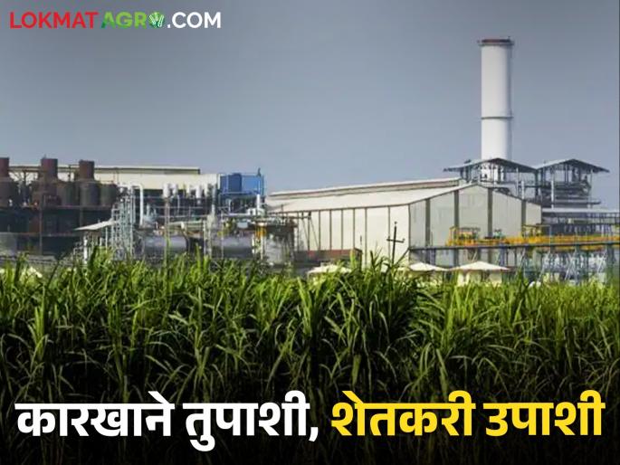 Additional income to sugar mills; When will the sugarcane farmers account? | साखर कारखान्यांना मिळणारं अतिरिक्त उत्पन्न; ऊस उत्पादकांच्या खात्यात केव्हा येणार?