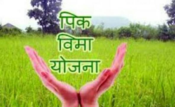 Collection of information about fruit crop insurers | फळपीक विमाधारकांच्या माहितीचे संकलन