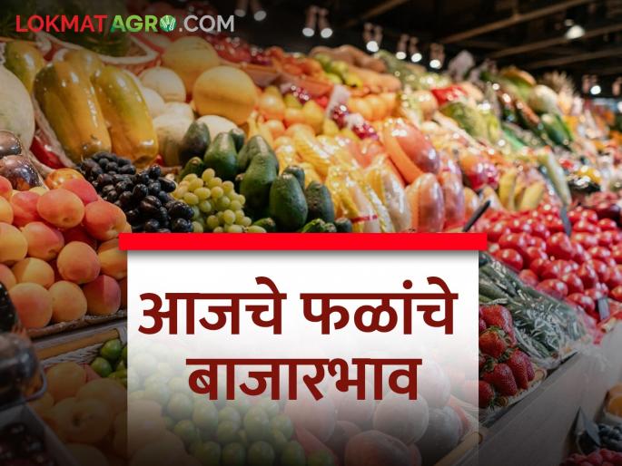 latest news 11 feb 2024 todays fruit market price in pune bajar samiti | पुणे बाजार समितीत फळांना काय बाजारभाव मिळाला? आजचे फळ बाजारभाव 