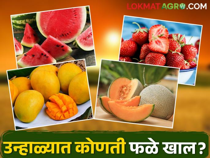 Eat these fruits in summer; Illness ran away | उन्हाळ्यात खा ही फळे; आजरपण दूर पळे