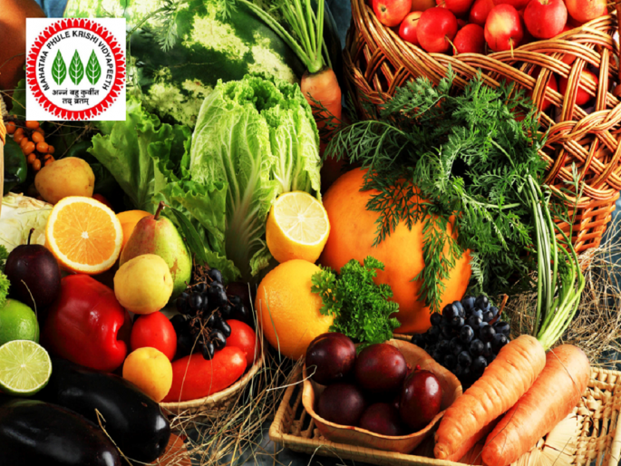 Fruits, Vegetables Processing Training Wanted, Simple Contact Here | फळे, भाजीपाला प्रक्रिया प्रशिक्षण पाहिजे इथे साधा संपर्क Fruits, Vegetables Processing Training Wanted, Simple Contact Here | फळे, भाजीपाला प्रक्रिया प्रशिक्षण पाहिजे इथे साधा संपर्क