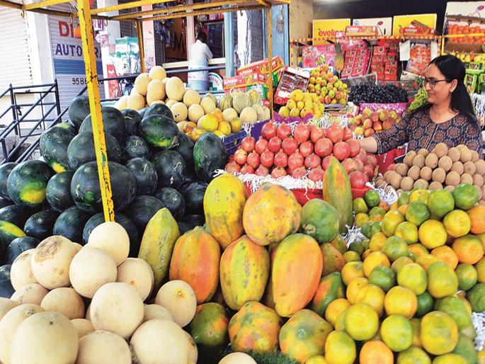From the king of fruits mango to grapes in the market, the prices of fruits are within the reach of common people | बाजारात फळांच्या राजापासून द्राक्षांपर्यंत फळांची रेलचेल, भावही सर्वसामान्यांच्या आवाक्यात From the king of fruits mango to grapes in the market, the prices of fruits are within the reach of common people | बाजारात फळांच्या राजापासून द्राक्षांपर्यंत फळांची रेलचेल, भावही सर्वसामान्यांच्या आवाक्यात