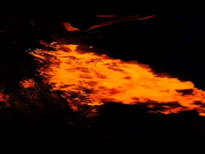 Storm lashed Sangolya, lightning killed buffalo in Ligadevadi | अवकाळीने सांगोल्याला झोडपले, लिगाडेवाडीत वीज पडून म्हैस ठार Storm lashed Sangolya, lightning killed buffalo in Ligadevadi | अवकाळीने सांगोल्याला झोडपले, लिगाडेवाडीत वीज पडून म्हैस ठार