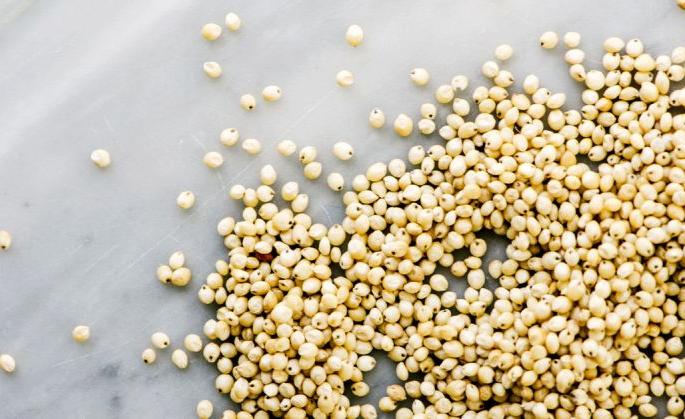 Only two months Time Given for Seasonal sorghum purchase | हंगामातील ज्वारी खरेदी केवळ दोनच महिने Only two months Time Given for Seasonal sorghum purchase | हंगामातील ज्वारी खरेदी केवळ दोनच महिने