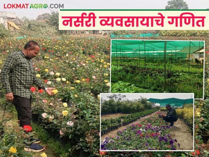 Latest News Nursery Business Profit of nine lakhs per year from nursery business, know the details | Nursery Business : शिक्षण बारावी, आता नर्सरी व्यवसायातून लाखो रुपयांची उलाढाल! वाचा सविस्तर Latest News Nursery Business Profit of nine lakhs per year from nursery business, know the details | Nursery Business : शिक्षण बारावी, आता नर्सरी व्यवसायातून लाखो रुपयांची उलाढाल! वाचा सविस्तर