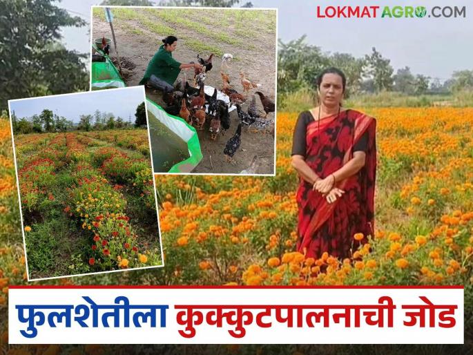Latest News Women Farmer Success Story female farmer's poultry farming business along with floriculture in bhandara district | Farmer Success Story : फुलशेतीतून लाखोंचं उत्पन्न, जोडीला कुक्कुटपालन, महिला शेतकऱ्याची कमाल 