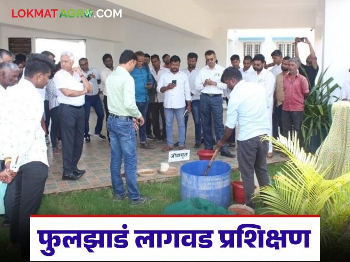 Latest News Agriculture News Training on flower cultivation in Rabi season, read in detail | Agriculture News : रब्बी हंगामातील फुलझाड लागवडी संदर्भातील प्रशिक्षण, वाचा सविस्तर 