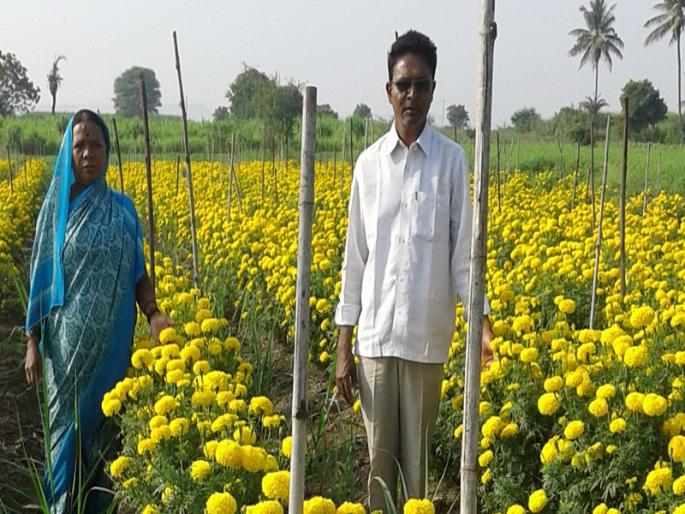 Flowers! | फुलशेतीने मालामाल! Flowers! | फुलशेतीने मालामाल!