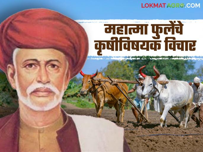 Latest News Mahatma Phule give suggestions to British for agriculture and farmers in shetkaryancha asud | Mahatma Phule Jayanti : शेती आणि शेतकऱ्यांसाठी महात्मा फुलेंनी इंग्रजांना काय सूचना केल्या होत्या?  Latest News Mahatma Phule give suggestions to British for agriculture and farmers in shetkaryancha asud | Mahatma Phule Jayanti : शेती आणि शेतकऱ्यांसाठी महात्मा फुलेंनी इंग्रजांना काय सूचना केल्या होत्या?