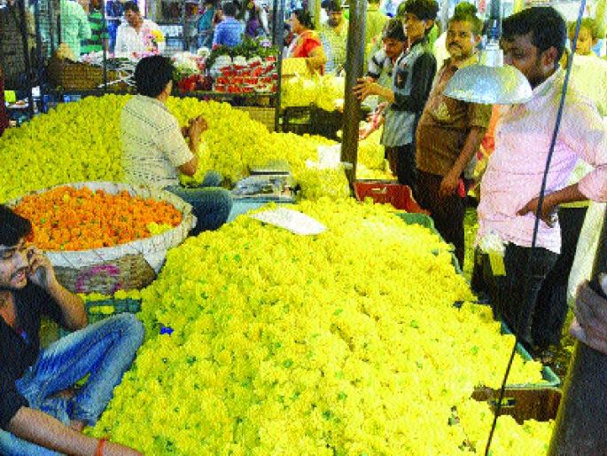 Jaswandi, Mogra went 'Bhokhokhane' | जास्वंदी, मोगरा गेला ‘भावखाऊन’