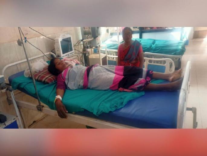 A leopard attacked a farmer woman who was planting paddy | धान पिकाची बांधणी करणाऱ्या शेतकरी महिलेवर बिबट्याचा हल्ला A leopard attacked a farmer woman who was planting paddy | धान पिकाची बांधणी करणाऱ्या शेतकरी महिलेवर बिबट्याचा हल्ला