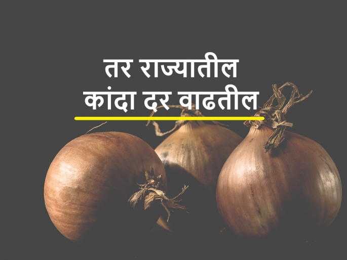 Pressure from Gujarati farmers to remove onion export ban? What is the reality of the leaders' statements? | कांदा निर्यातबंदी हटविण्यासाठी गुजराती शेतकऱ्यांचा दबाव? नेत्यांच्या वक्तव्याचे वास्तव काय? Pressure from Gujarati farmers to remove onion export ban? What is the reality of the leaders' statements? | कांदा निर्यातबंदी हटविण्यासाठी गुजराती शेतकऱ्यांचा दबाव? नेत्यांच्या वक्तव्याचे वास्तव काय?