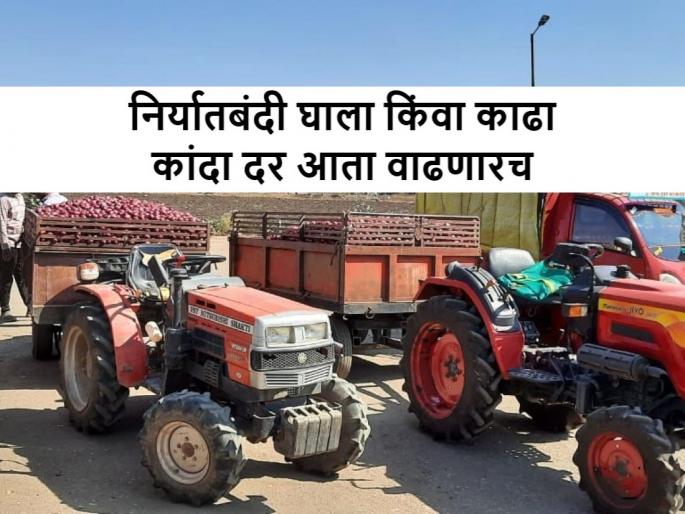 Onion market rates will increase in future for red and summer onion in Lasalgaon, Pimpalgaon, Nashik, Maharashtra | कांदा उत्पादकांसाठी दिलासादायक: आगामी काळात कांद्याचे भाव वाढणार, रांगडा आणि उन्हाळीला होणार फायदा Onion market rates will increase in future for red and summer onion in Lasalgaon, Pimpalgaon, Nashik, Maharashtra | कांदा उत्पादकांसाठी दिलासादायक: आगामी काळात कांद्याचे भाव वाढणार, रांगडा आणि उन्हाळीला होणार फायदा