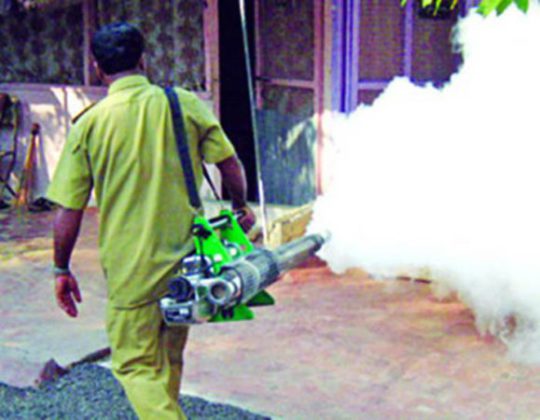 There is no spraying in new areas in the windows | पाचोऱ्यात नवीन भागात फवारणीच नाही There is no spraying in new areas in the windows | पाचोऱ्यात नवीन भागात फवारणीच नाही