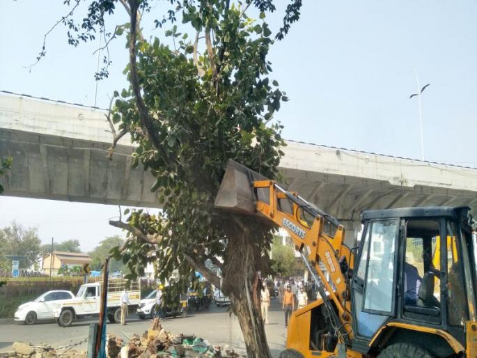 Municipal bulldozer on the Vad tree in Nashik; Environmentalists accused the plant of 'an encounter' of the plant | नाशिकमध्ये वडाच्या झाडावर पालिकेचा बुलडोझर; मनपाकडून झाडांचे ‘एन्काऊंटर’ होत असल्याचा पर्यावरणप्रेमींचा आरोप Municipal bulldozer on the Vad tree in Nashik; Environmentalists accused the plant of 'an encounter' of the plant | नाशिकमध्ये वडाच्या झाडावर पालिकेचा बुलडोझर; मनपाकडून झाडांचे ‘एन्काऊंटर’ होत असल्याचा पर्यावरणप्रेमींचा आरोप