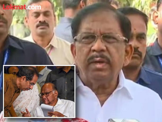 After the defeat in Maharashtra Assembly elections Congress leader said Sharad Pawar Uddhav Thackeray faction did not campaign properly | "नियोजनाप्रमाणे प्रचार केला नाही"; काँग्रेस नेत्याने शरद पवार-ठाकरेंवर फोडलं पराभवाचे खापर After the defeat in Maharashtra Assembly elections Congress leader said Sharad Pawar Uddhav Thackeray faction did not campaign properly | "नियोजनाप्रमाणे प्रचार केला नाही"; काँग्रेस नेत्याने शरद पवार-ठाकरेंवर फोडलं पराभवाचे खापर