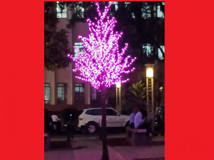 g20 summit in pune municipality will set up ornamental artificial trees for G-20 | G20 Summit : परदेशी पाहुण्यांसाठी पुण्यात शोभेसाठी लाखोंची उधळण; उभारली जाणार कृत्रिम झाडे g20 summit in pune municipality will set up ornamental artificial trees for G-20 | G20 Summit : परदेशी पाहुण्यांसाठी पुण्यात शोभेसाठी लाखोंची उधळण; उभारली जाणार कृत्रिम झाडे