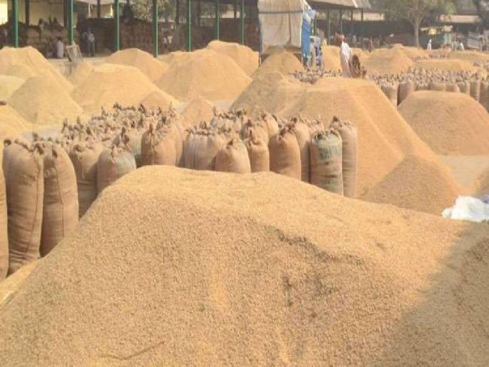 Now the purchase of paddy will be done according to the old criteria, Successful follow-up of public representatives | आदेश धडकले! आता जुन्याच निकषानुसार होणार धान खरेदी Now the purchase of paddy will be done according to the old criteria, Successful follow-up of public representatives | आदेश धडकले! आता जुन्याच निकषानुसार होणार धान खरेदी