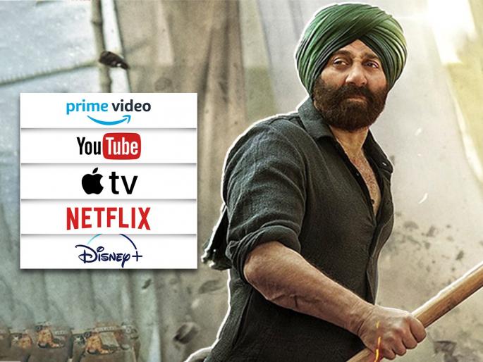 gadar 2 ott sunny deol movie will release on zee5 know the details | सनी देओलचा 'गदर २' ओटीटीवर होणार प्रदर्शित! कधी आणि कुठे? जाणून घ्या gadar 2 ott sunny deol movie will release on zee5 know the details | सनी देओलचा 'गदर २' ओटीटीवर होणार प्रदर्शित! कधी आणि कुठे? जाणून घ्या