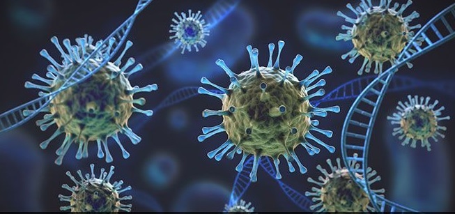 Coronavirus in Gadchiroli; Gadchiroli district has the highest mortality rate, yet active patient decline | Coronavirus in Gadchiroli; गडचिरोली जिल्ह्याचा मृत्यूदर अत्युच्च पातळीवर, तरीही सक्रिय रुग्ण घटतीवर Coronavirus in Gadchiroli; Gadchiroli district has the highest mortality rate, yet active patient decline | Coronavirus in Gadchiroli; गडचिरोली जिल्ह्याचा मृत्यूदर अत्युच्च पातळीवर, तरीही सक्रिय रुग्ण घटतीवर