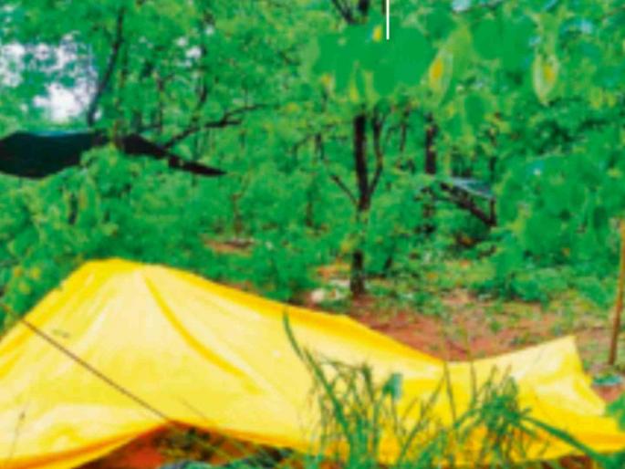 Naxalites started, police ended them; Seven male, five female Naxals killed | नक्षलवाद्यांनी केली सुरुवात, पोलिसांनी केला त्यांचा शेवट; सात पुरुष, पाच महिला नक्षल्यांचा खात्मा Naxalites started, police ended them; Seven male, five female Naxals killed | नक्षलवाद्यांनी केली सुरुवात, पोलिसांनी केला त्यांचा शेवट; सात पुरुष, पाच महिला नक्षल्यांचा खात्मा