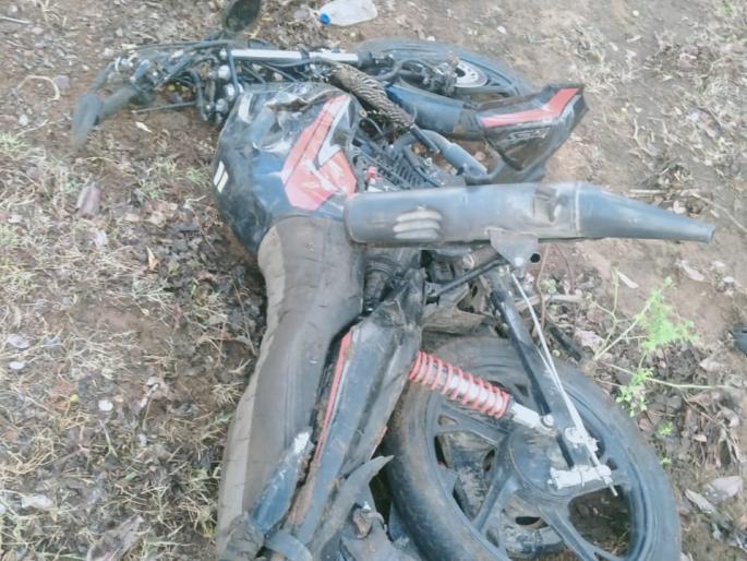 elephant mangala got angry and crushed the bike under her feet | मंगलाचा मुक्त विहार भंगला... मग संतापली अन् दुचाकी पायाखाली चिरडली elephant mangala got angry and crushed the bike under her feet | मंगलाचा मुक्त विहार भंगला... मग संतापली अन् दुचाकी पायाखाली चिरडली