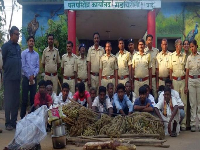 17 accused arrested in leopard Hunting; Action of forest department | चितळाची शिकार करणा-या १७ आरोपींना अटक; वनविभागाची कारवाई 17 accused arrested in leopard Hunting; Action of forest department | चितळाची शिकार करणा-या १७ आरोपींना अटक; वनविभागाची कारवाई