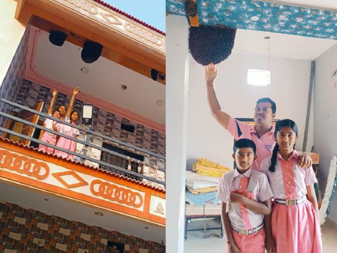 Family lives in the same house with bees; friendship for five years | अबब... ‘ते’ कुटुंब मधमाशांसाेबत राहतात एकाच घरात; पाच वर्षांपासून मैत्री Family lives in the same house with bees; friendship for five years | अबब... ‘ते’ कुटुंब मधमाशांसाेबत राहतात एकाच घरात; पाच वर्षांपासून मैत्री