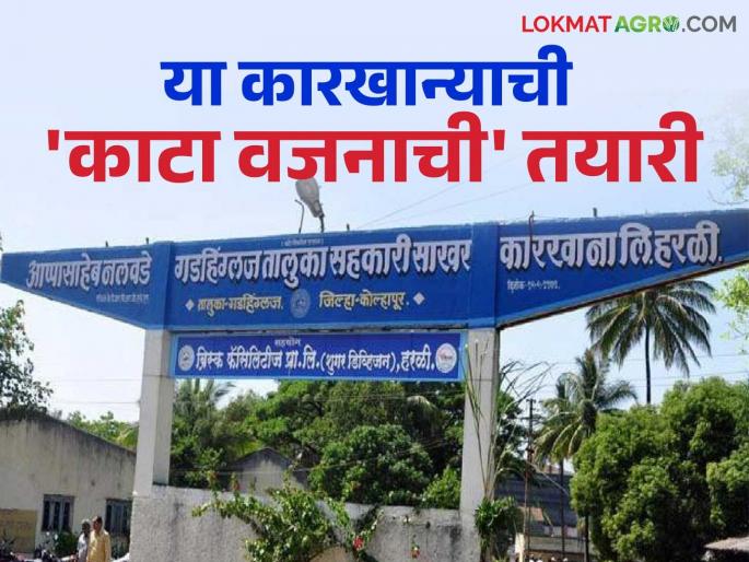 Bring it by weighing from anywhere; This sugar factory in Kolhapur is ready to take sugarcane | कुठूनही वजन करून आणा; कोल्हापुरातील या साखर कारखान्याची ऊस घेण्याची तयारी Bring it by weighing from anywhere; This sugar factory in Kolhapur is ready to take sugarcane | कुठूनही वजन करून आणा; कोल्हापुरातील या साखर कारखान्याची ऊस घेण्याची तयारी