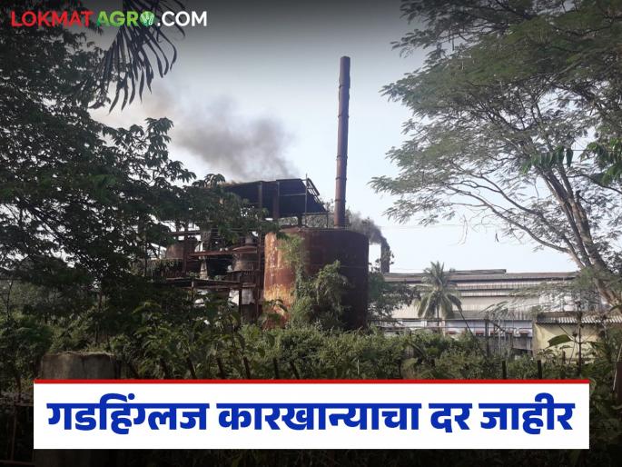 After the Swabhimani movement the price of sugaracane from Gadhinglaj factory was announced; How was the price finally given? | स्वाभिमानीच्या आंदोलनानंतर गडहिंग्लज कारखान्याचा दर जाहीर; अखेर कसा दिला दर?