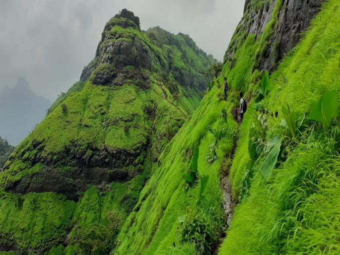Fort View from the 'Safar Swarajya' travel series by two Indapur youth | इंदापूरच्या दोन तरुणांची ' सफर स्वराज्या' ची सिरीजमधून गडकिल्ल्यांना 'दृश्य' साद  