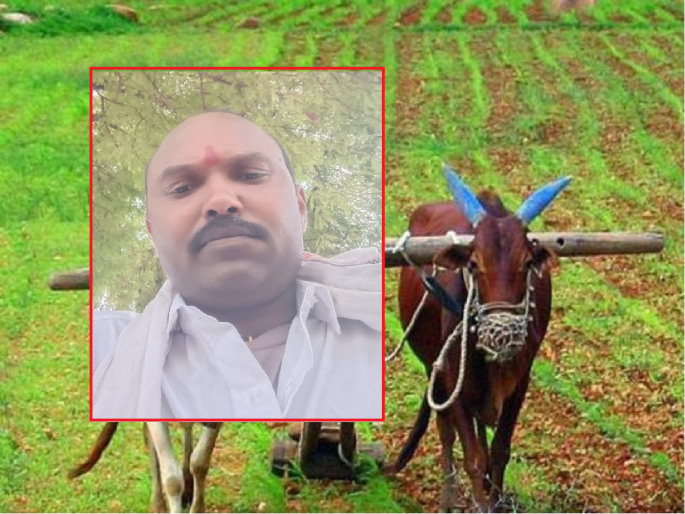 Aut got stuck in a pole while plowing; Farmer dies due to electric shock | मशागत करताना खांबाच्या तारेत औत अडकला; विद्युत धक्का बसून शेतकऱ्याचा मृत्यू Aut got stuck in a pole while plowing; Farmer dies due to electric shock | मशागत करताना खांबाच्या तारेत औत अडकला; विद्युत धक्का बसून शेतकऱ्याचा मृत्यू