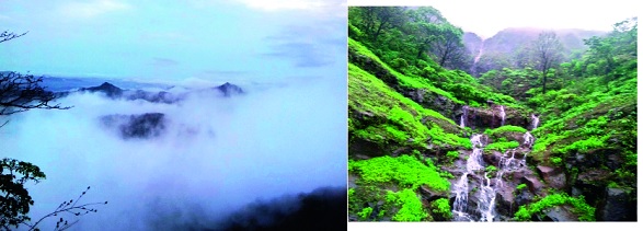 Gaganbavada area develops tourists, rush for rain tourism: | गगनबावडा परिसर पर्यटकांनी बहरला, वर्षा पर्यटनासाठी गर्दी :