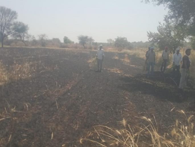 one and a half acres of wheat harvested was burnt to ashes due to a short circuit | हातातोंडाशी आलेला घास हिरावला; शाॅर्टसर्किटने काढणीचा दीड एकरातील गहू जळून खाक one and a half acres of wheat harvested was burnt to ashes due to a short circuit | हातातोंडाशी आलेला घास हिरावला; शाॅर्टसर्किटने काढणीचा दीड एकरातील गहू जळून खाक