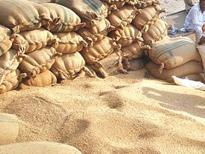 5 crore wheat-rice bad in country in five years; Information has come out of the right | पाच वर्षांत देशात २५ कोटींचा गहू-तांदूळ खराब; माहिती अधिकारातून झालं उघड