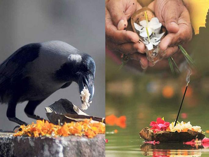 sarva pitru amavasya 2024 most important rituals in pitru paksha | सर्वपित्री अमावस्या: पुराण काळापासून सुरू असलेला महत्त्वाचा आचारधर्म sarva pitru amavasya 2024 most important rituals in pitru paksha | सर्वपित्री अमावस्या: पुराण काळापासून सुरू असलेला महत्त्वाचा आचारधर्म