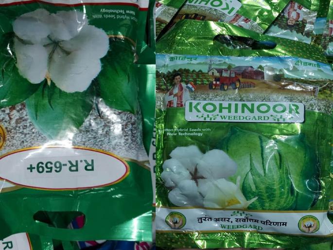 Why mail, female packets? | मेल, फिमेलची पाकिटे कशासाठी? मास्टरमाईंड कोण?; बोगस कपाशी बियाण्यांच्या प्रॉडक्शनचा डाव Why mail, female packets? | मेल, फिमेलची पाकिटे कशासाठी? मास्टरमाईंड कोण?; बोगस कपाशी बियाण्यांच्या प्रॉडक्शनचा डाव