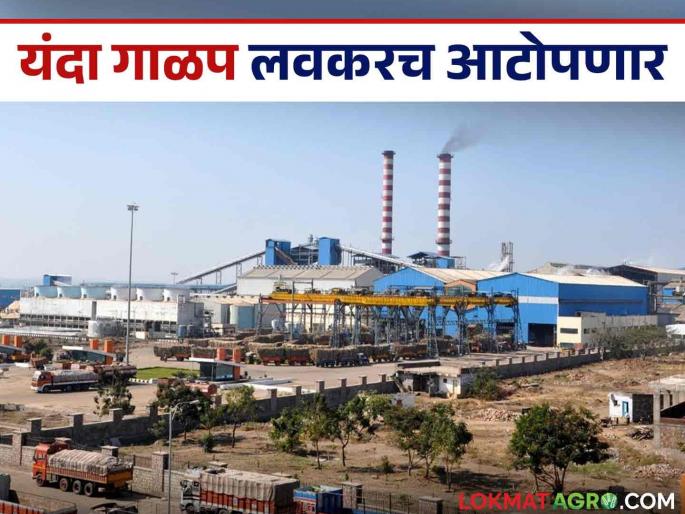 Sugarcane FRP: Sugarcane shortage this year; Competition among factories to offer increased sugarcane rates to get sugarcane | Sugarcane FRP : यंदा उसाचा तुटवडा; ऊस मिळविण्यासाठी कारखान्यांत वाढीव ऊसदर देण्याची स्पर्धा Sugarcane FRP: Sugarcane shortage this year; Competition among factories to offer increased sugarcane rates to get sugarcane | Sugarcane FRP : यंदा उसाचा तुटवडा; ऊस मिळविण्यासाठी कारखान्यांत वाढीव ऊसदर देण्याची स्पर्धा