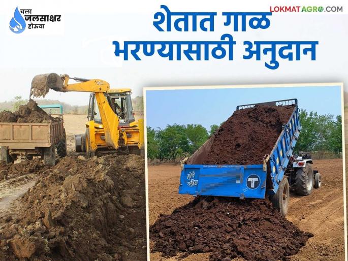 want to fill the field with silt.. Where can I apply for silt? How much subsidy do I get? Find out in detail | शेतात गाळ भरायचाय.. कुठे कराल गाळासाठी मागणी? किती मिळतंय अनुदान? जाणून घ्या सविस्तर