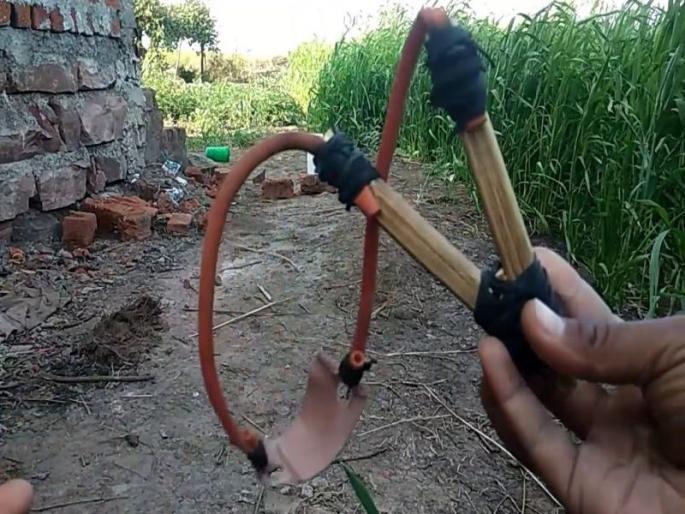 Save the Birds Campaign: Children, bring a ball and take a gift ...! | पक्षी वाचवा अभियान : मुलांनो गलोल आणून द्या अन गिफ्ट घ्या...! Save the Birds Campaign: Children, bring a ball and take a gift ...! | पक्षी वाचवा अभियान : मुलांनो गलोल आणून द्या अन गिफ्ट घ्या...!