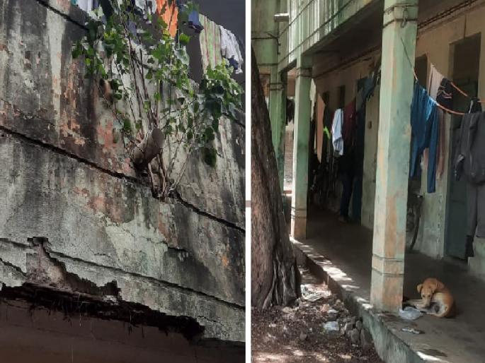 Mahatma Gandhi hostel building dangerous in Sangli | सांगलीत धोकादायक गांधी वसतिगृहात दीडशेवर विद्यार्थ्यांचा मुक्काम, शिक्षण विभाग म्हणतो.. Mahatma Gandhi hostel building dangerous in Sangli | सांगलीत धोकादायक गांधी वसतिगृहात दीडशेवर विद्यार्थ्यांचा मुक्काम, शिक्षण विभाग म्हणतो..