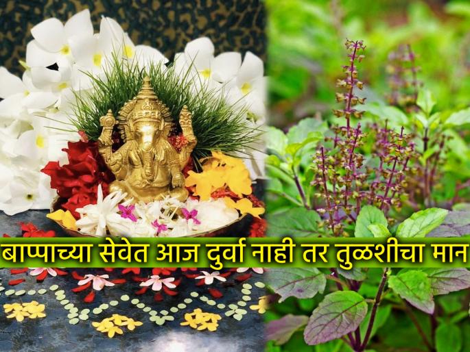 Ganesh Chaturthi 2025: Not only on Ganesh Chaturthi, Tulsi is also offered to Bappa; Why is this? Find out | Ganesh Chaturthi 2025: फक्त गणेश चतुर्थीला बाप्पाला दुर्वा नाही तर तुळस वाहतात; असे का? ते जाणून घ्या Ganesh Chaturthi 2025: Not only on Ganesh Chaturthi, Tulsi is also offered to Bappa; Why is this? Find out | Ganesh Chaturthi 2025: फक्त गणेश चतुर्थीला बाप्पाला दुर्वा नाही तर तुळस वाहतात; असे का? ते जाणून घ्या